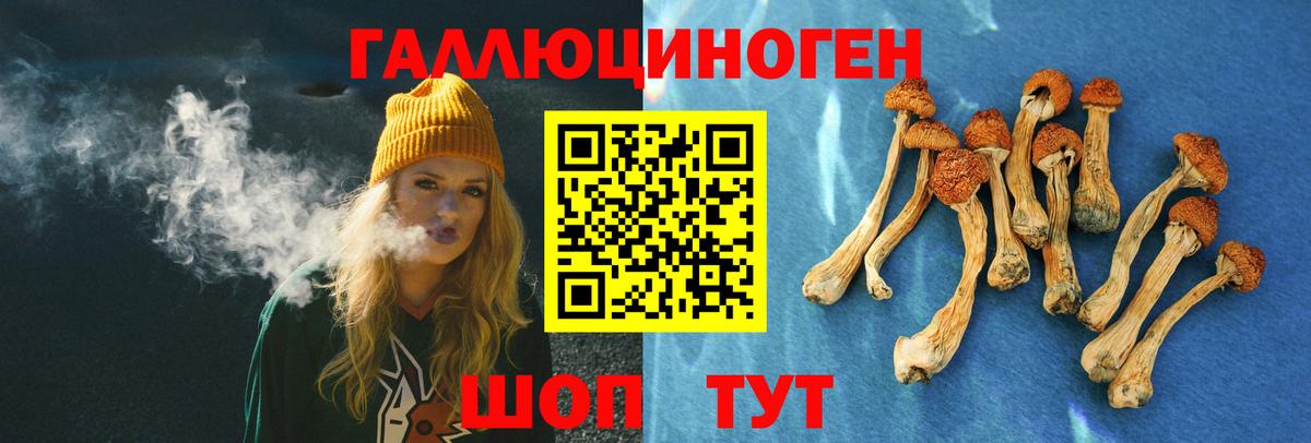 Галлюциногенные грибы Magic Shrooms Абакан